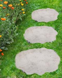 Komintas6
