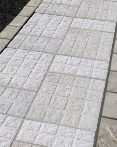 Komintas8