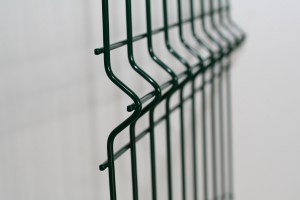 dskerites_95