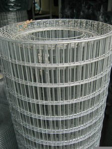 esafort_2